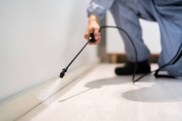 Professional exterminator conducting IPM assessment in Broadlands