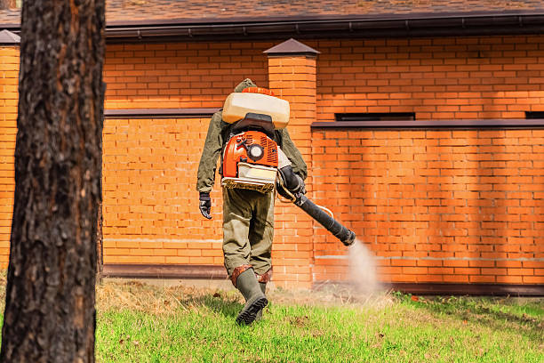 Top rated local Wasp Removal specialists in Broadlands, VA